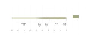 Scientific Anglers Frequency Trout GP